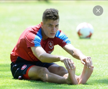 Patrik Schick