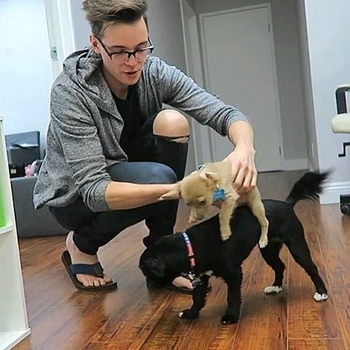 Steven Suptic