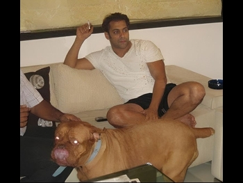  alt="Salman Khan"
