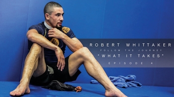 Robert Whittaker