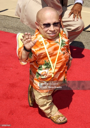 Verne Troyer