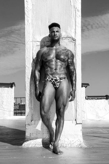 David McIntosh