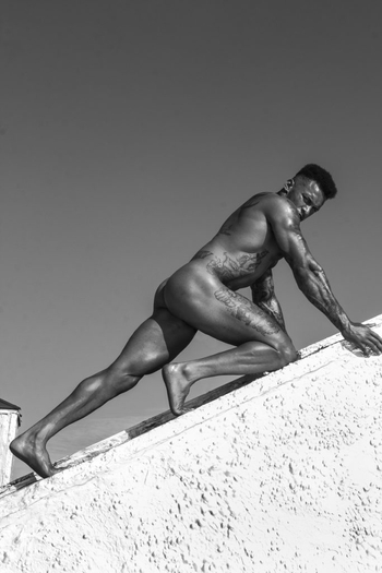 David McIntosh