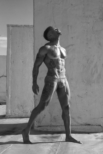 David McIntosh