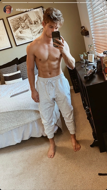 Nico Greetham