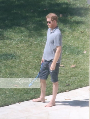 Prince Harry