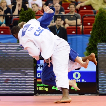 Teddy Riner