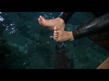  alt="Jeremy Wade"
