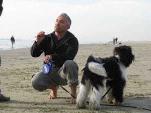 Cesar Millan