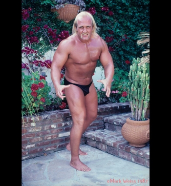 Hulk Hogan