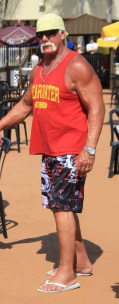 Hulk Hogan