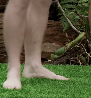 Robert Clarence Irwin