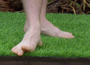 Robert Clarence Irwin