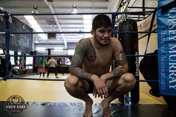 Dillon Danis