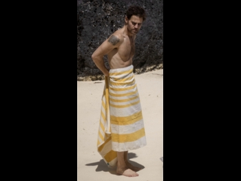  alt="Paul Wesley"