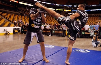 Shogun Rua