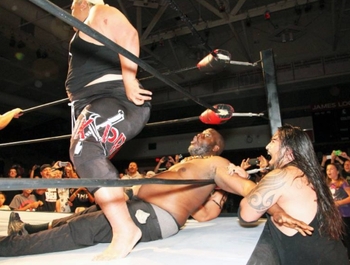Solofa Fatu Jr.