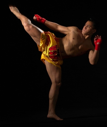 Cung Le