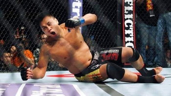 Cung Le