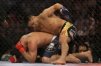 Cung Le