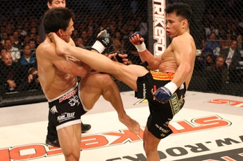 Cung Le