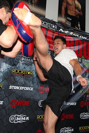 Cung Le