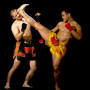 Cung Le