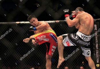 Cung Le