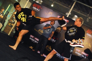 Cung Le