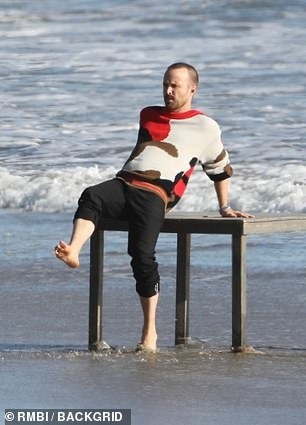 Aaron Paul