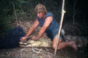 Steve Irwin