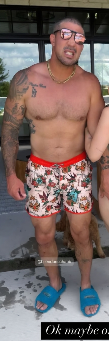 Brendan Schaub