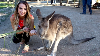 Tenille Dashwood