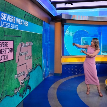 Ginger Zee