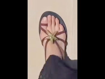  alt="Adi Himelbloy"
