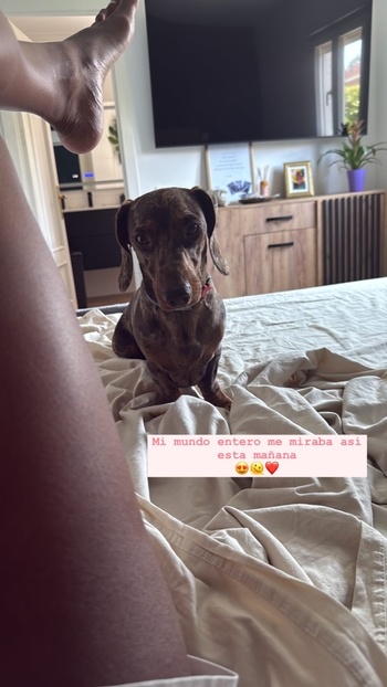 Nia Correia