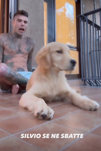 Fedez