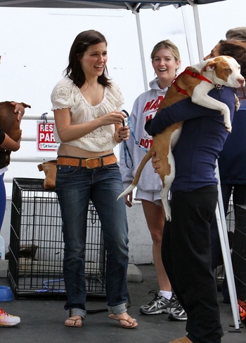 Sophia Bush