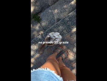  alt="Jenny De Nucci"