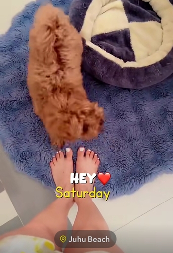 Nikkesha