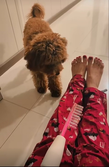 Nikkesha