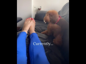  alt="Nikkesha"