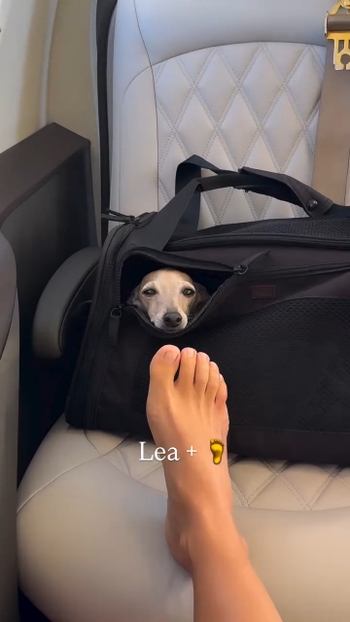 Elettra Lamborghini