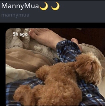 Manny Mua