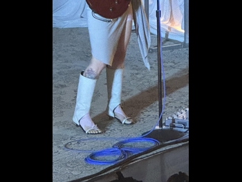  alt="Hayley Williams (iii)"