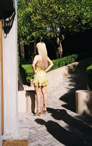 Hayley Williams (III)