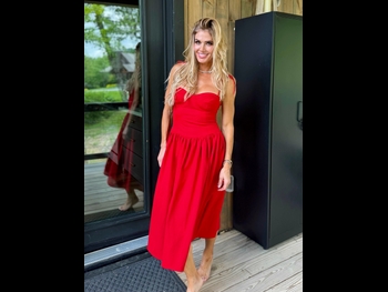  alt="Torrie Wilson"