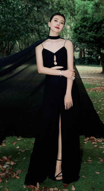 Yuanyuan Gao