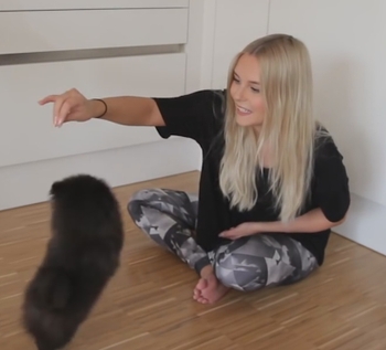 Dagi Bee