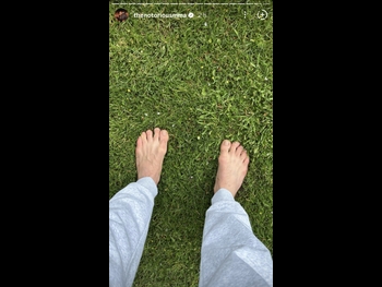  alt="Conor Mcgregor"